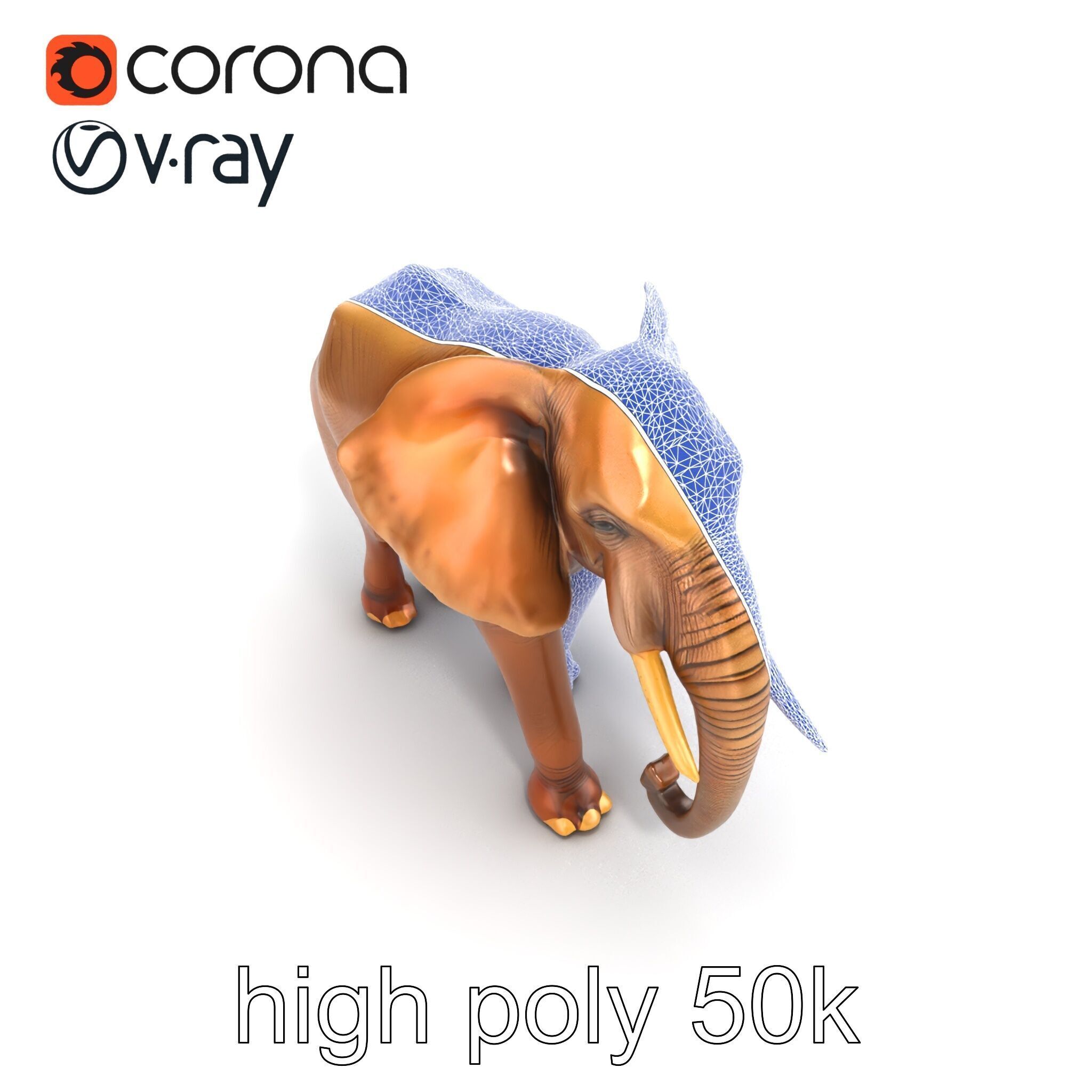 Elephant with Natural Scratches D model pack Low-poly 3D model_25