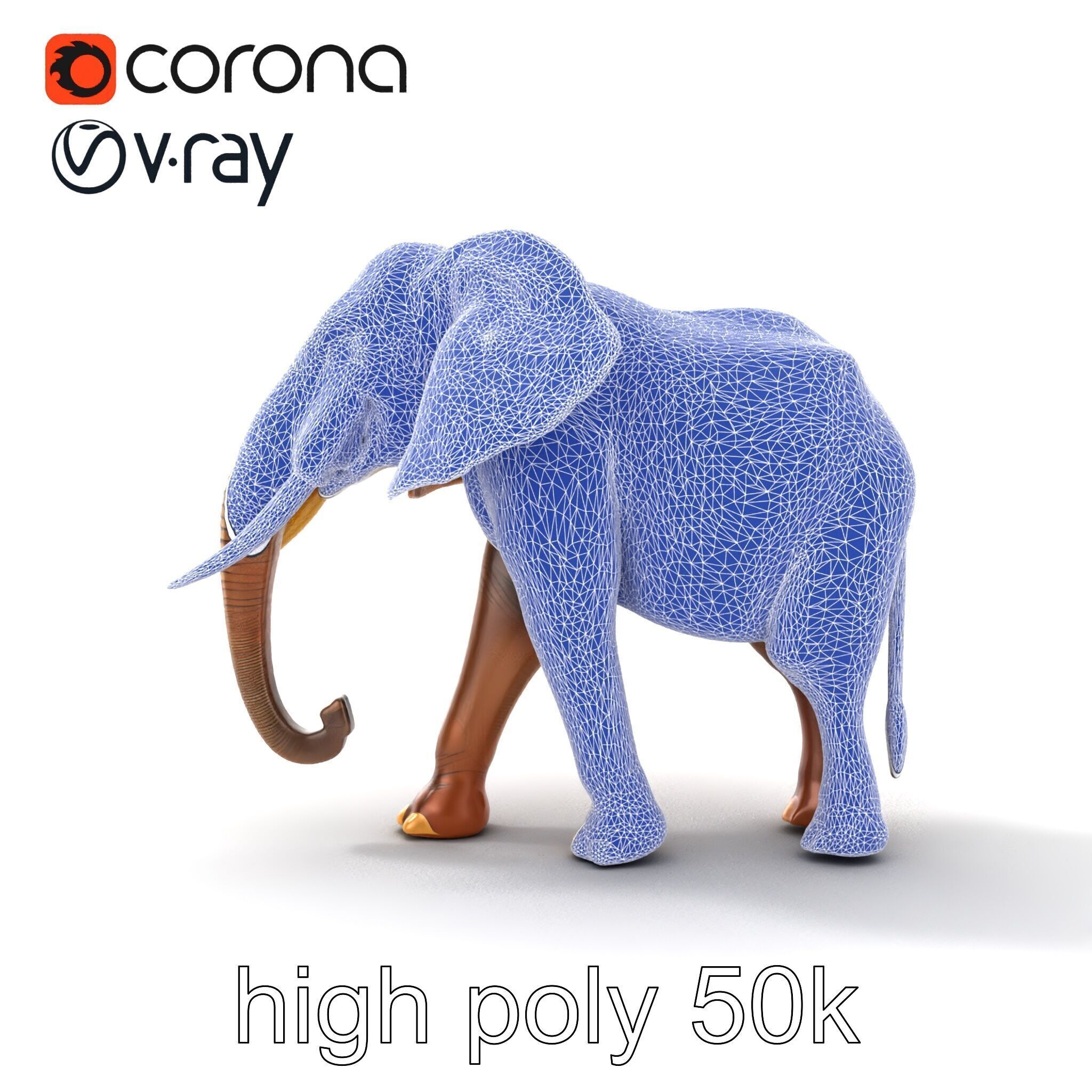 Elephant with Natural Scratches D model pack Low-poly 3D model_31
