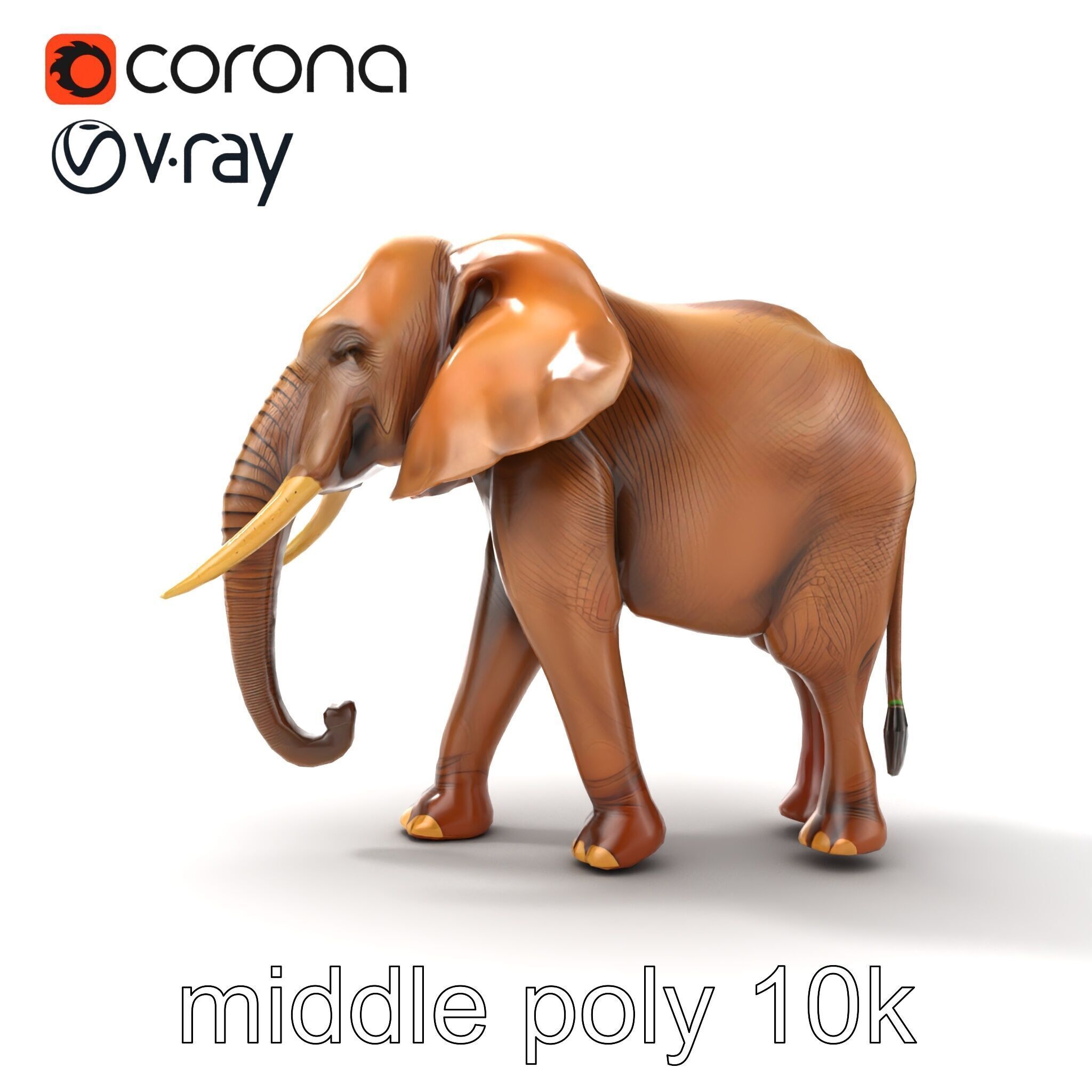 Elephant with Natural Scratches D model pack Low-poly 3D model_16