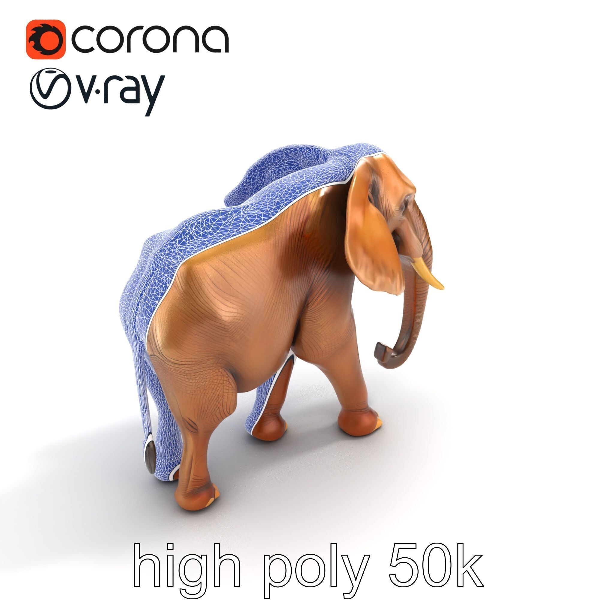 Elephant with Natural Scratches D model pack Low-poly 3D model_30