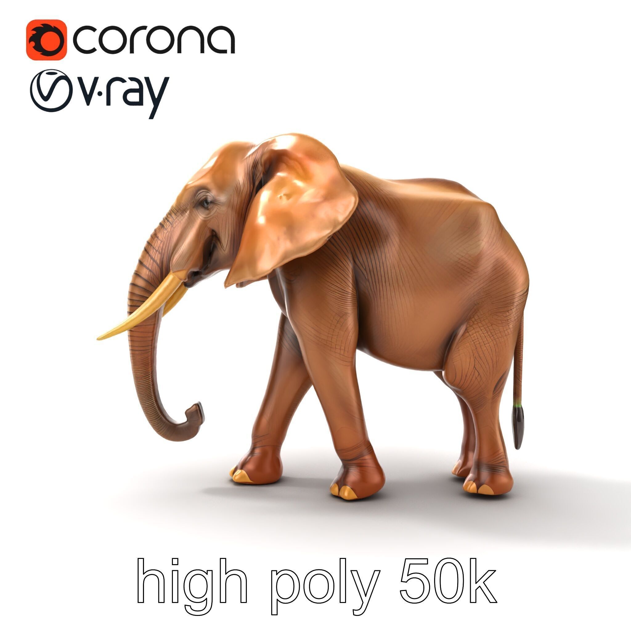 Elephant with Natural Scratches D model pack Low-poly 3D model_12