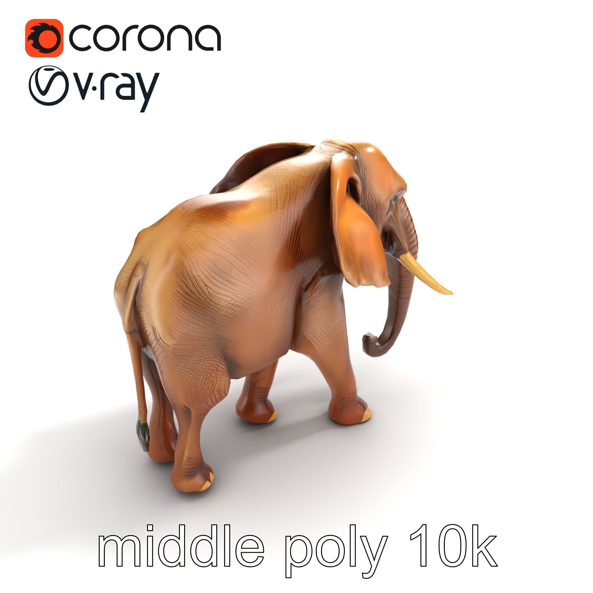 Elephant with Natural Scratches D model pack Low-poly 3D model_8