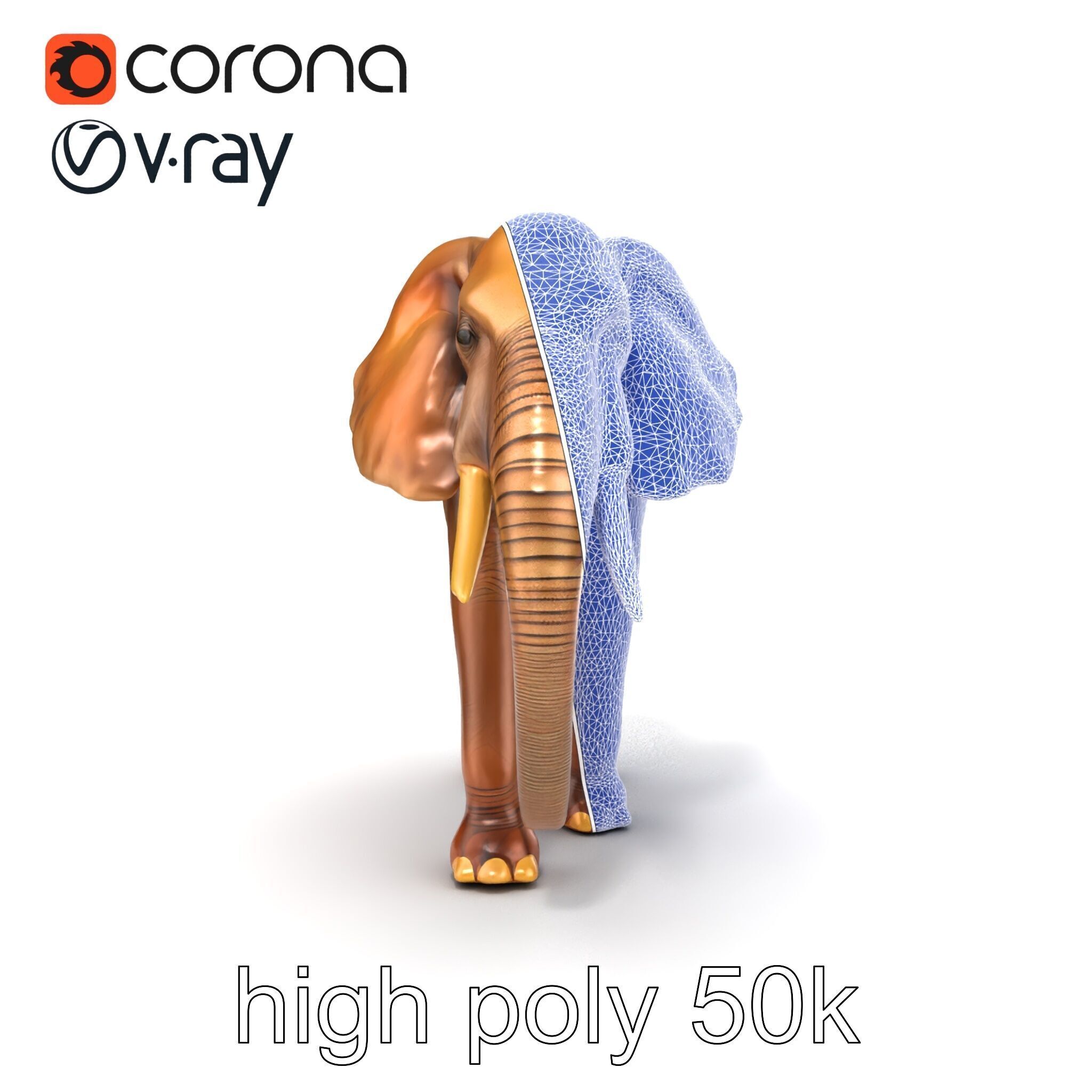 Elephant with Natural Scratches D model pack Low-poly 3D model_17