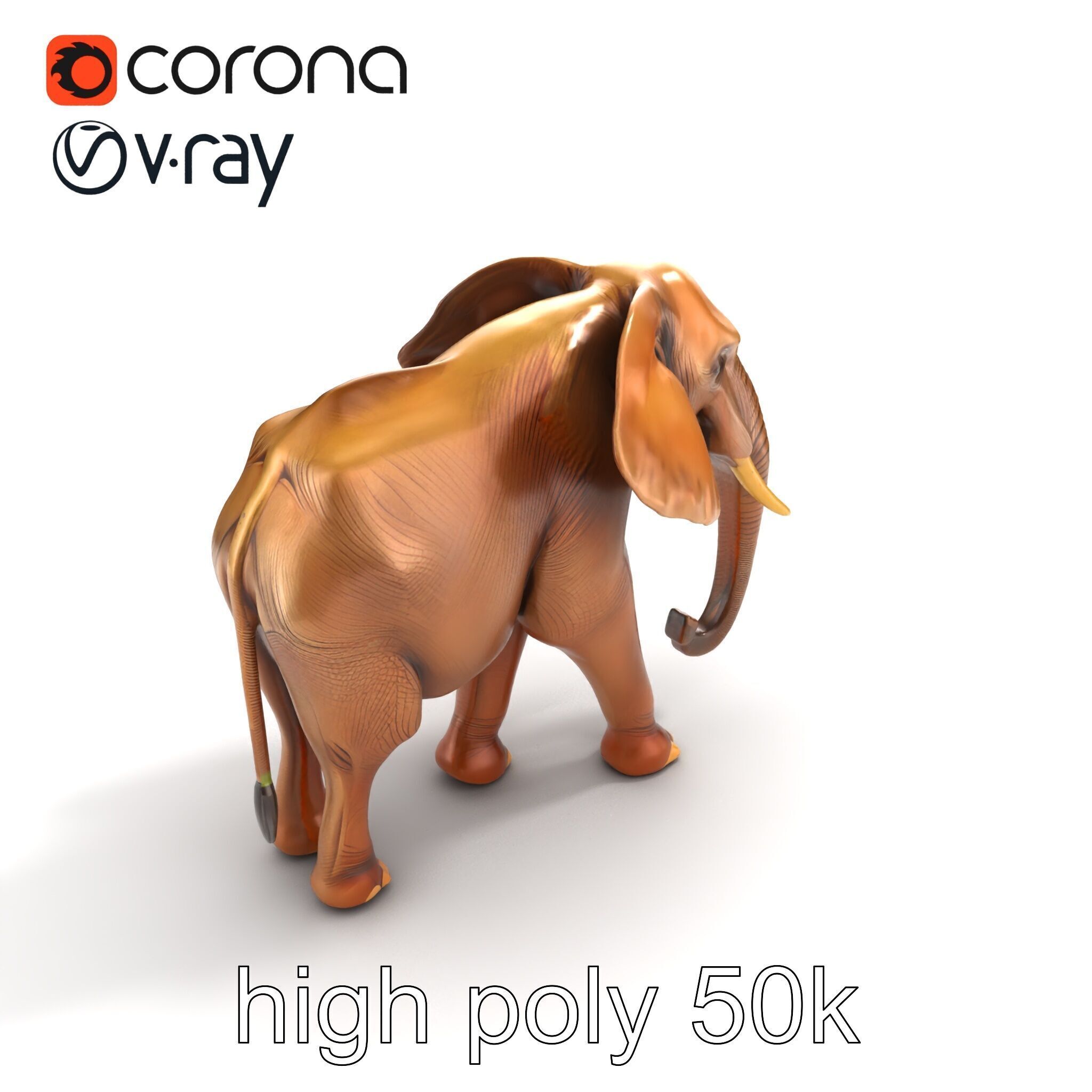 Elephant with Natural Scratches D model pack Low-poly 3D model_15
