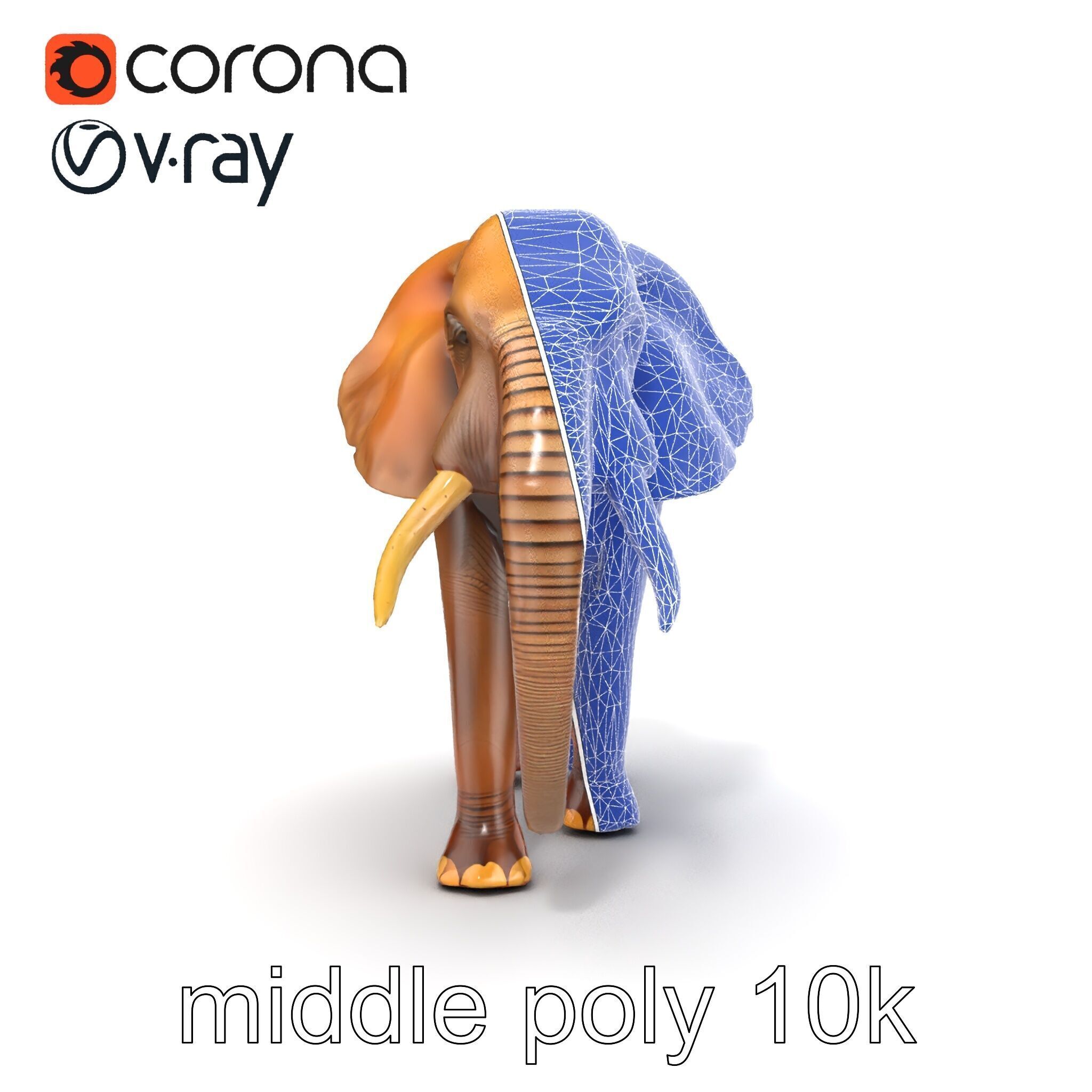 Elephant with Natural Scratches D model pack Low-poly 3D model_13