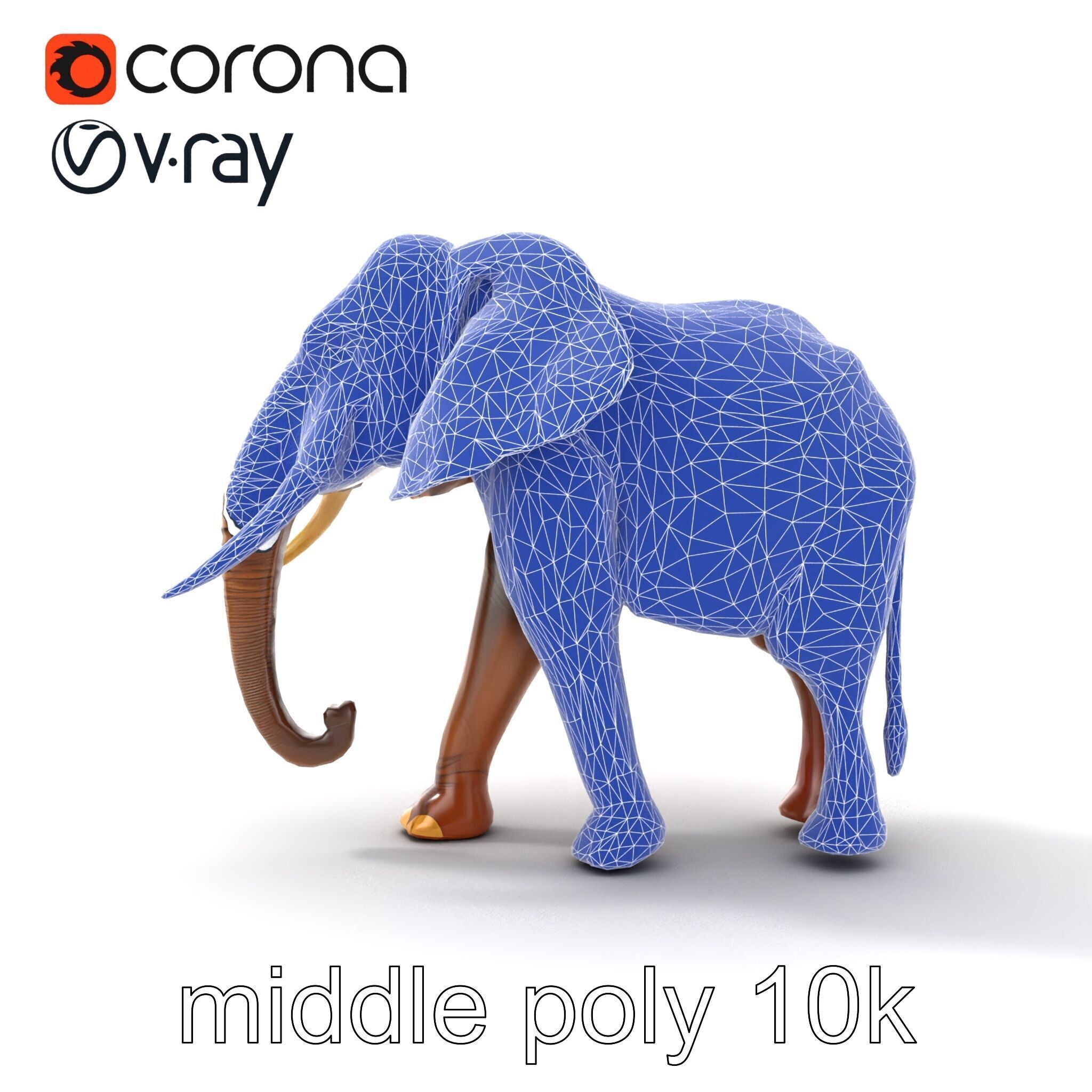 Elephant with Natural Scratches D model pack Low-poly 3D model_29
