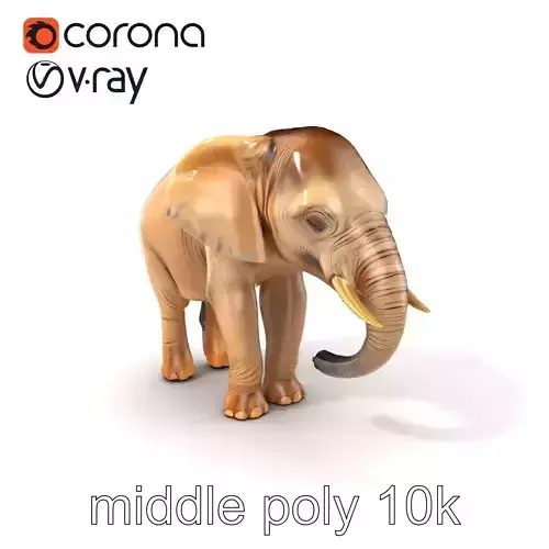Playful Juvenile Elephant Model Pack Low-poly 3D model