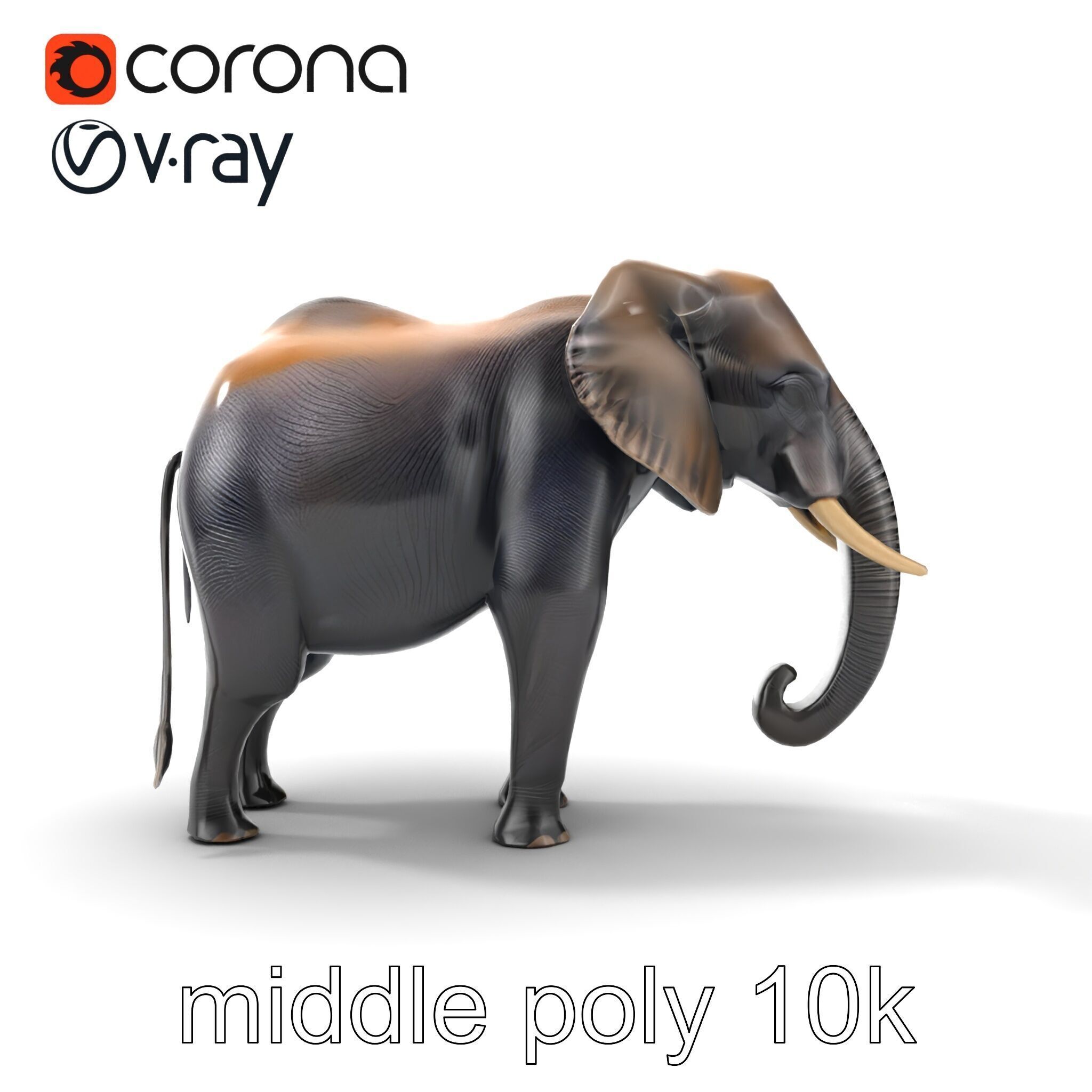 Glossy Elephant Wildlife Sculpture model pack Low-poly 3D model_20