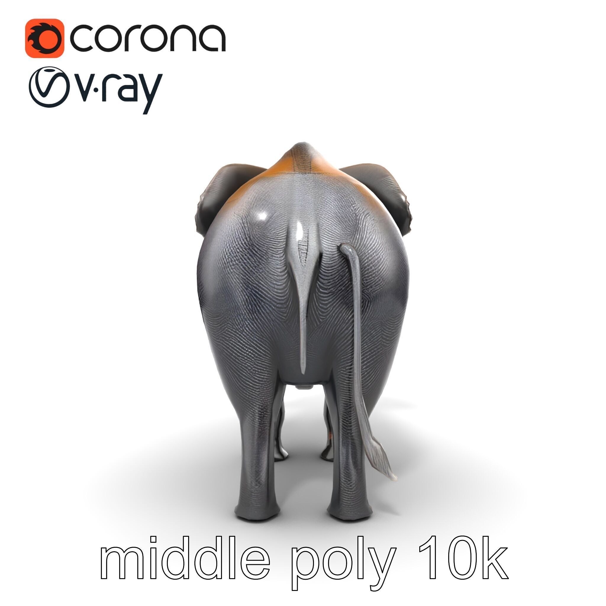 Glossy Elephant Wildlife Sculpture model pack Low-poly 3D model_19