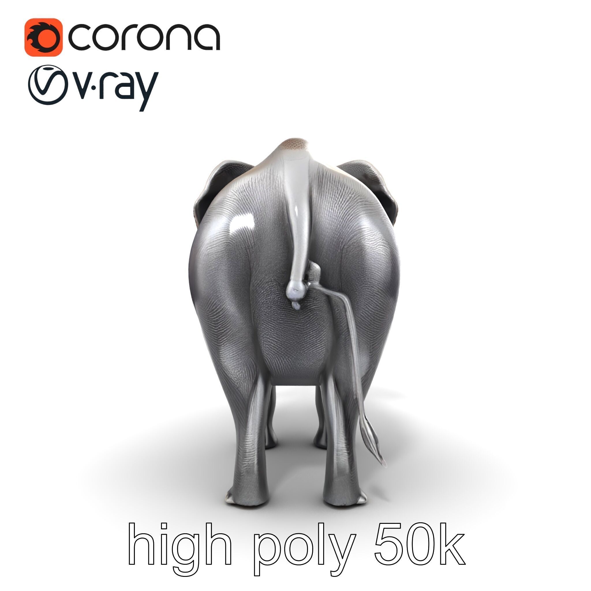Glossy Elephant Wildlife Sculpture model pack Low-poly 3D model_28