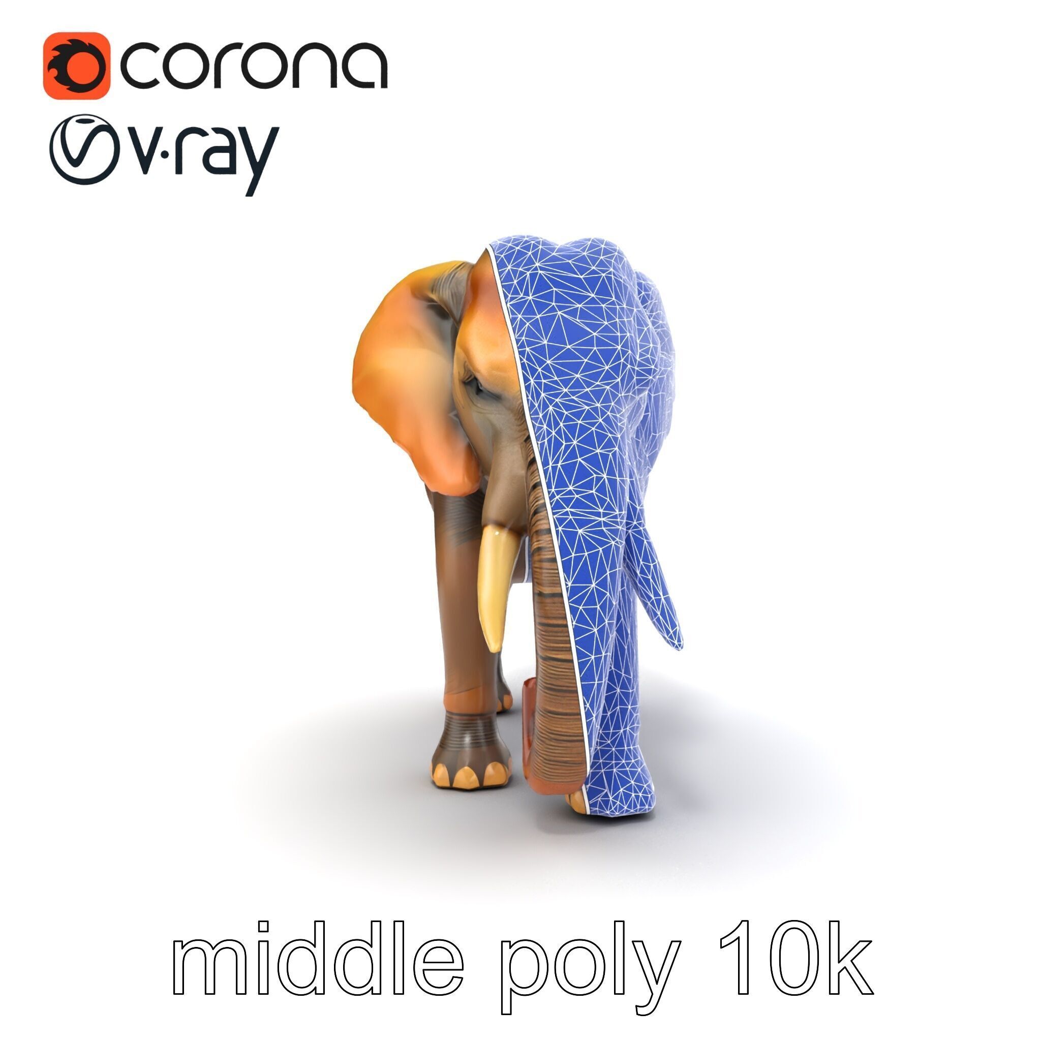Asian Elephant High Detail Model Pack Low-poly 3D model_24