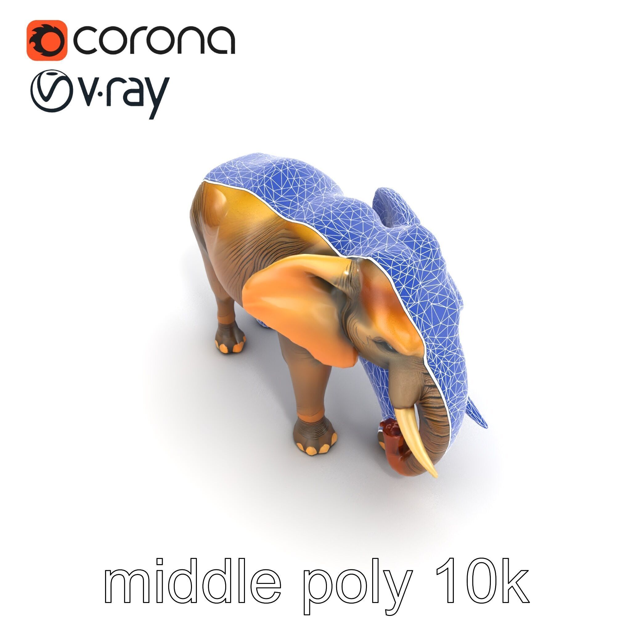 Asian Elephant High Detail Model Pack Low-poly 3D model_30