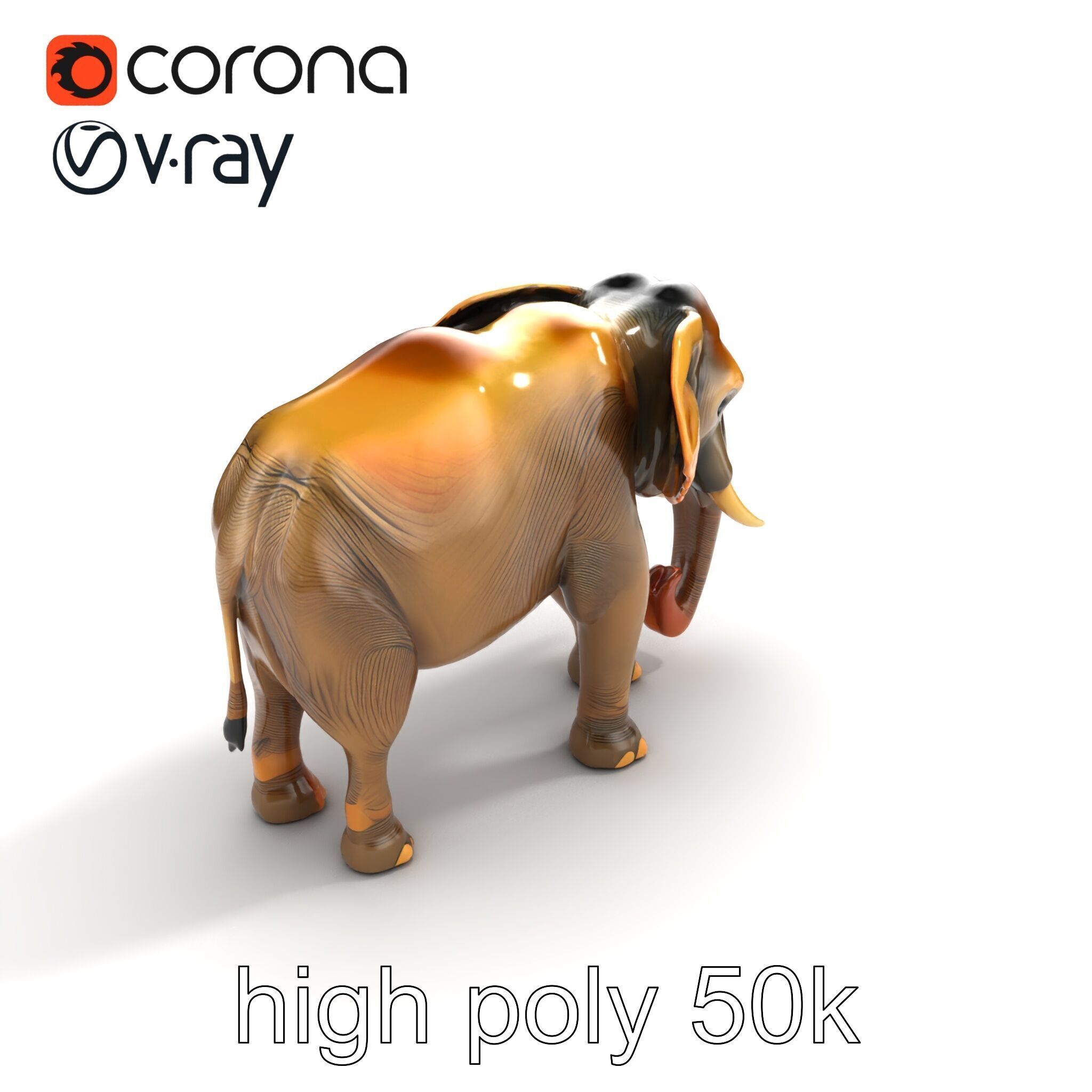 Asian Elephant High Detail Model Pack Low-poly 3D model_18