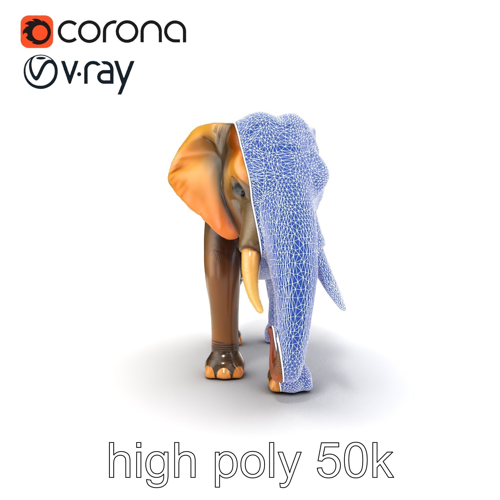 Asian Elephant High Detail Model Pack Low-poly 3D model_29