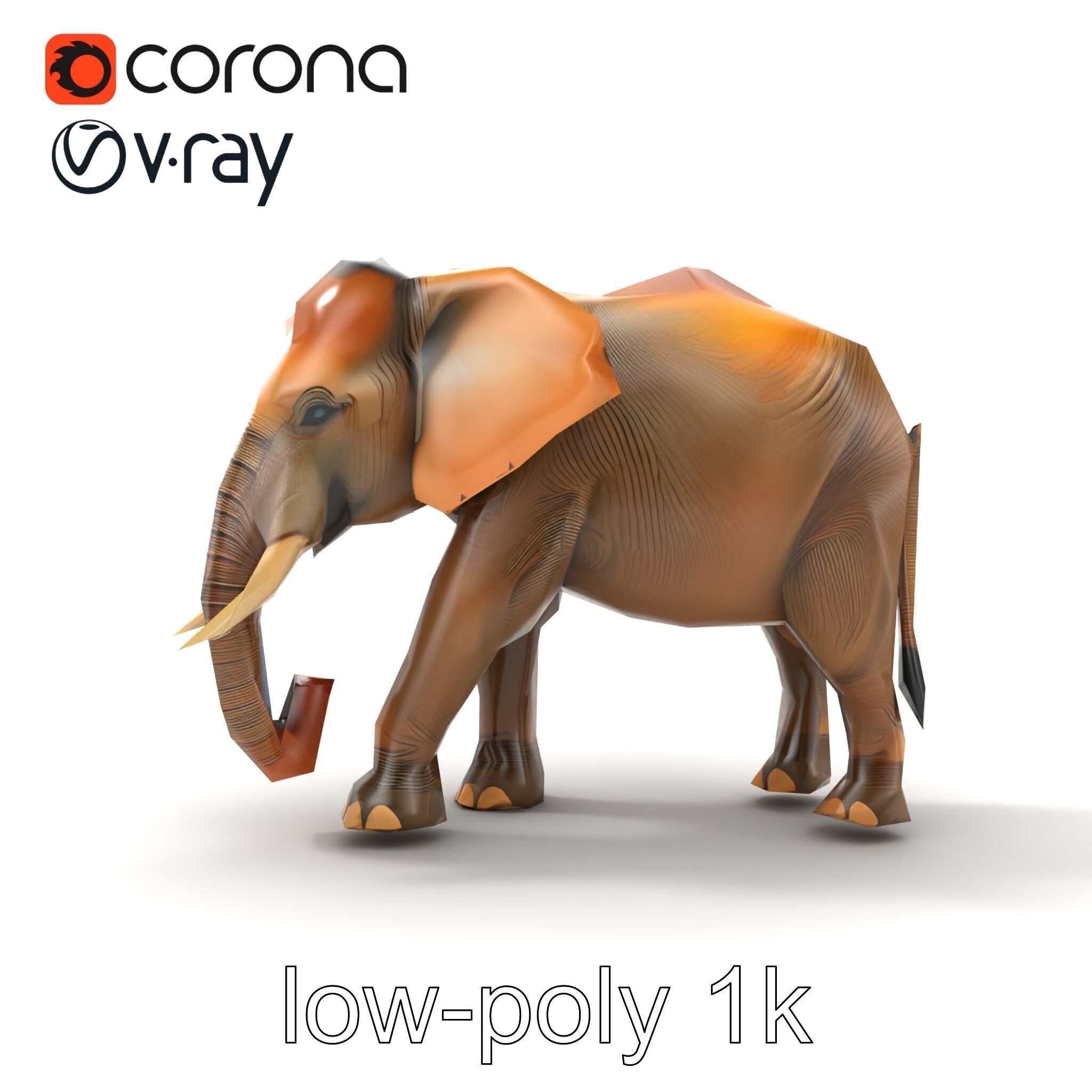 Asian Elephant High Detail Model Pack Low-poly 3D model_27