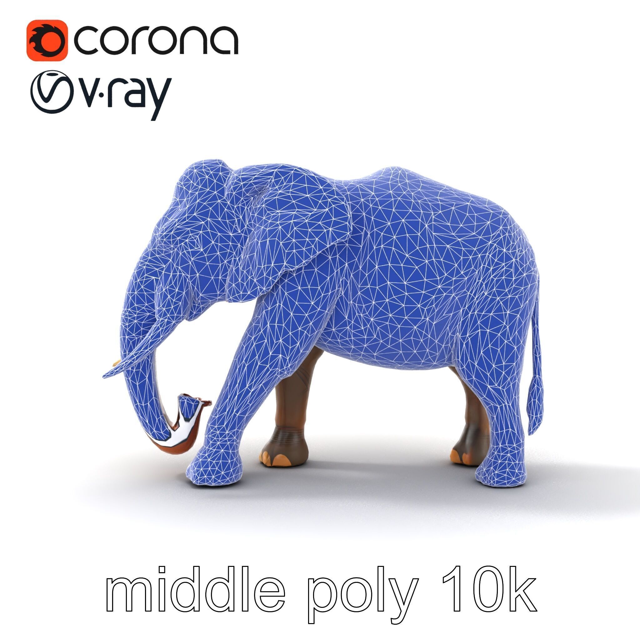 Asian Elephant High Detail Model Pack Low-poly 3D model_22