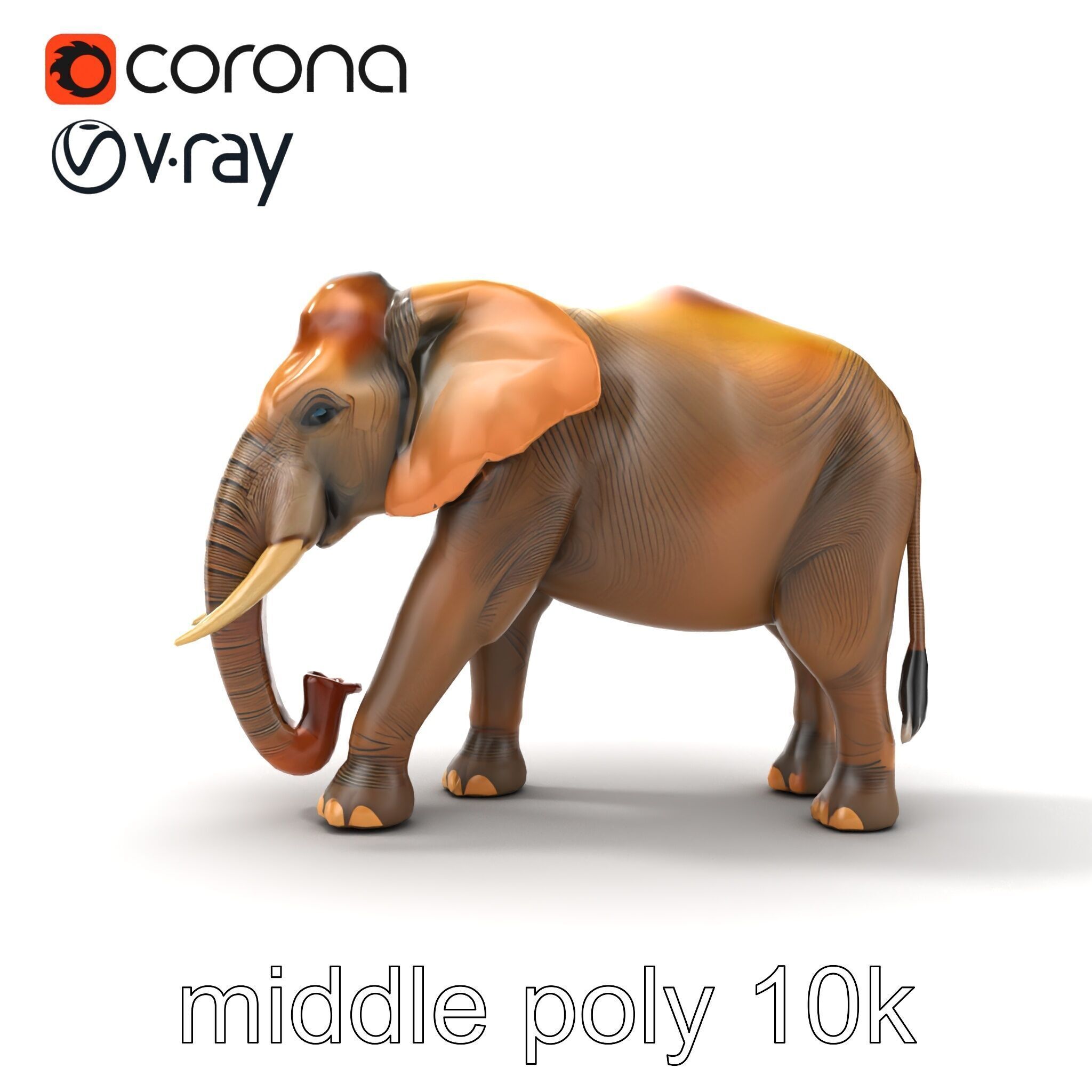 Asian Elephant High Detail Model Pack Low-poly 3D model_21