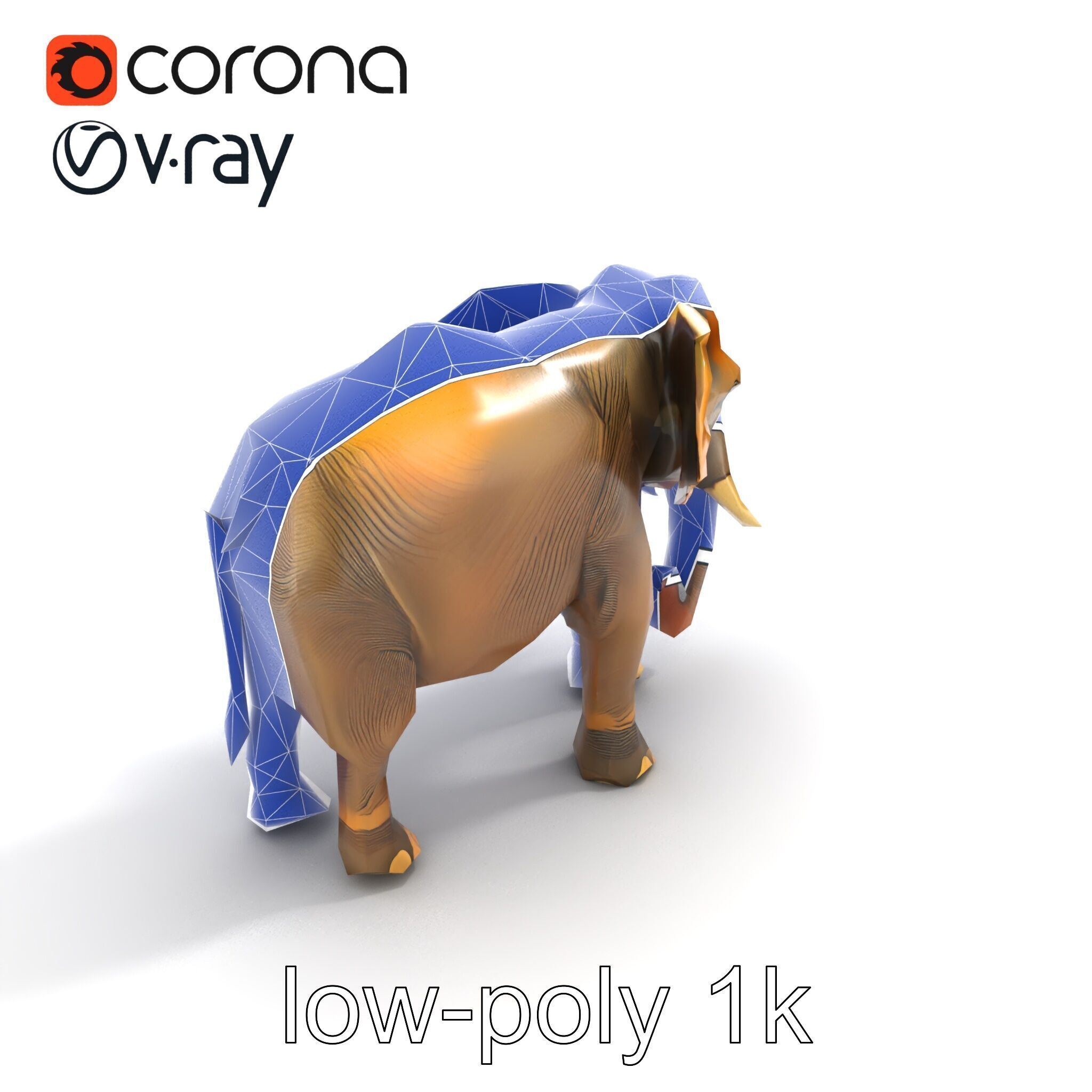 Asian Elephant High Detail Model Pack Low-poly 3D model_11