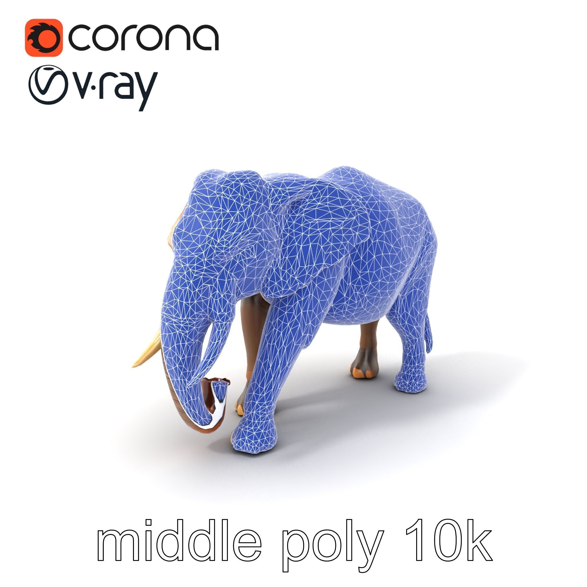 Asian Elephant High Detail Model Pack Low-poly 3D model_6