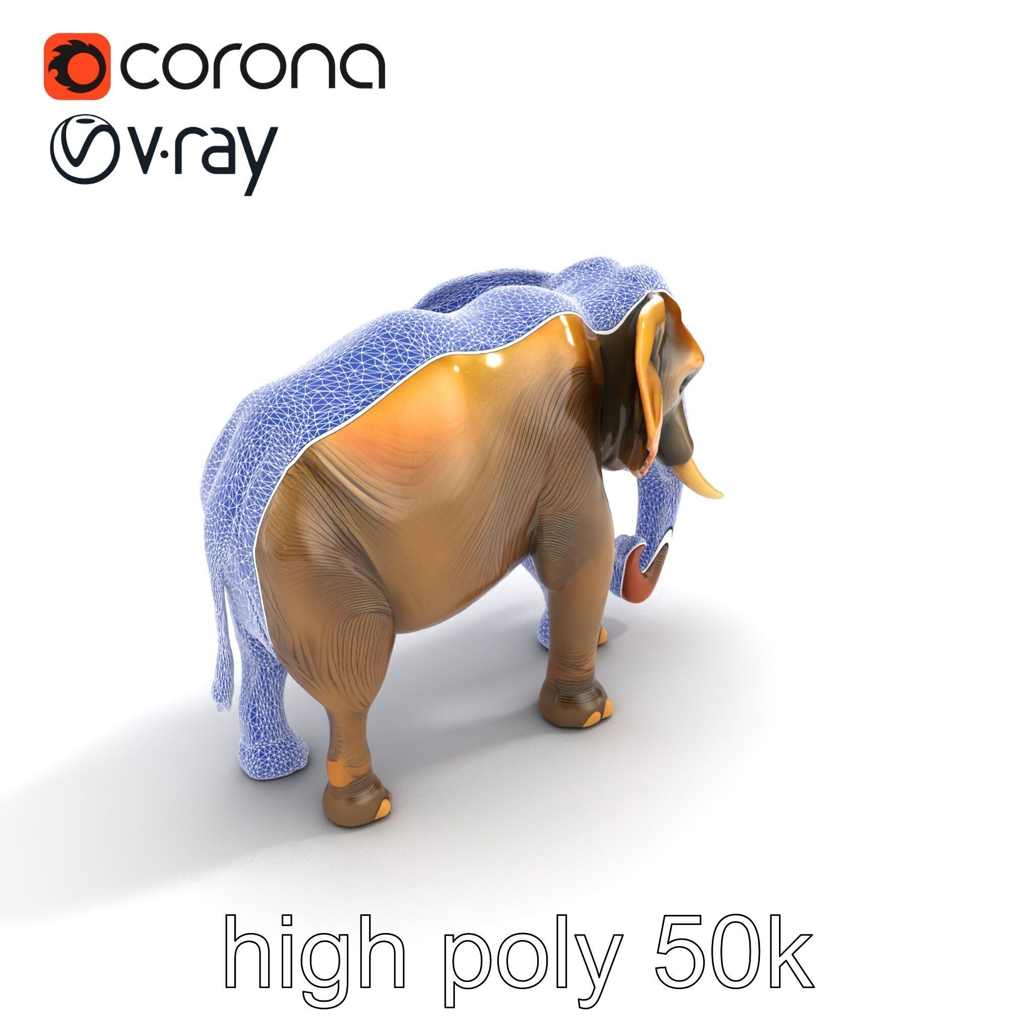 Asian Elephant High Detail Model Pack Low-poly 3D model_23
