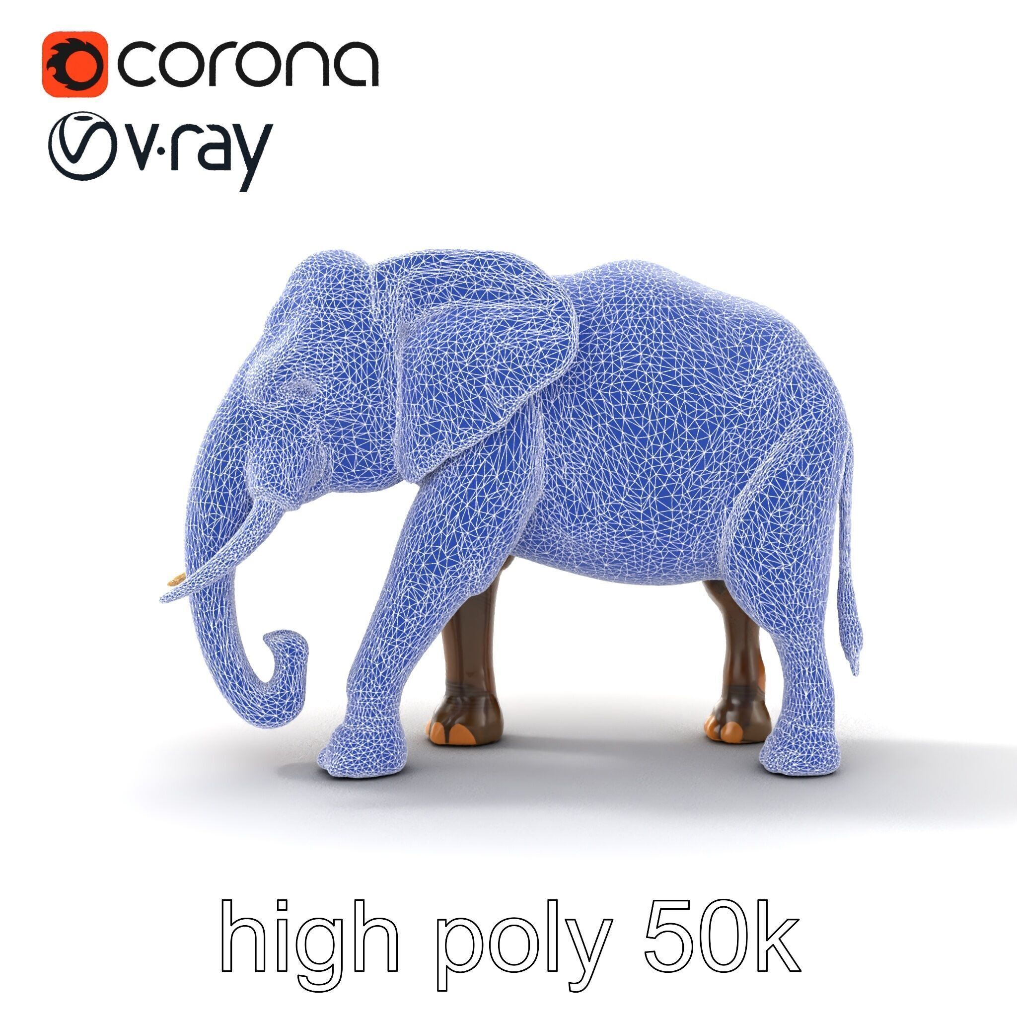 Asian Elephant High Detail Model Pack Low-poly 3D model_26