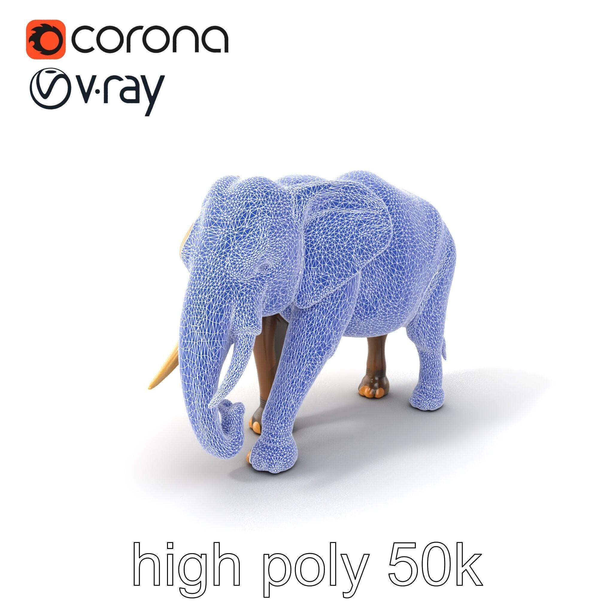 Asian Elephant High Detail Model Pack Low-poly 3D model_10