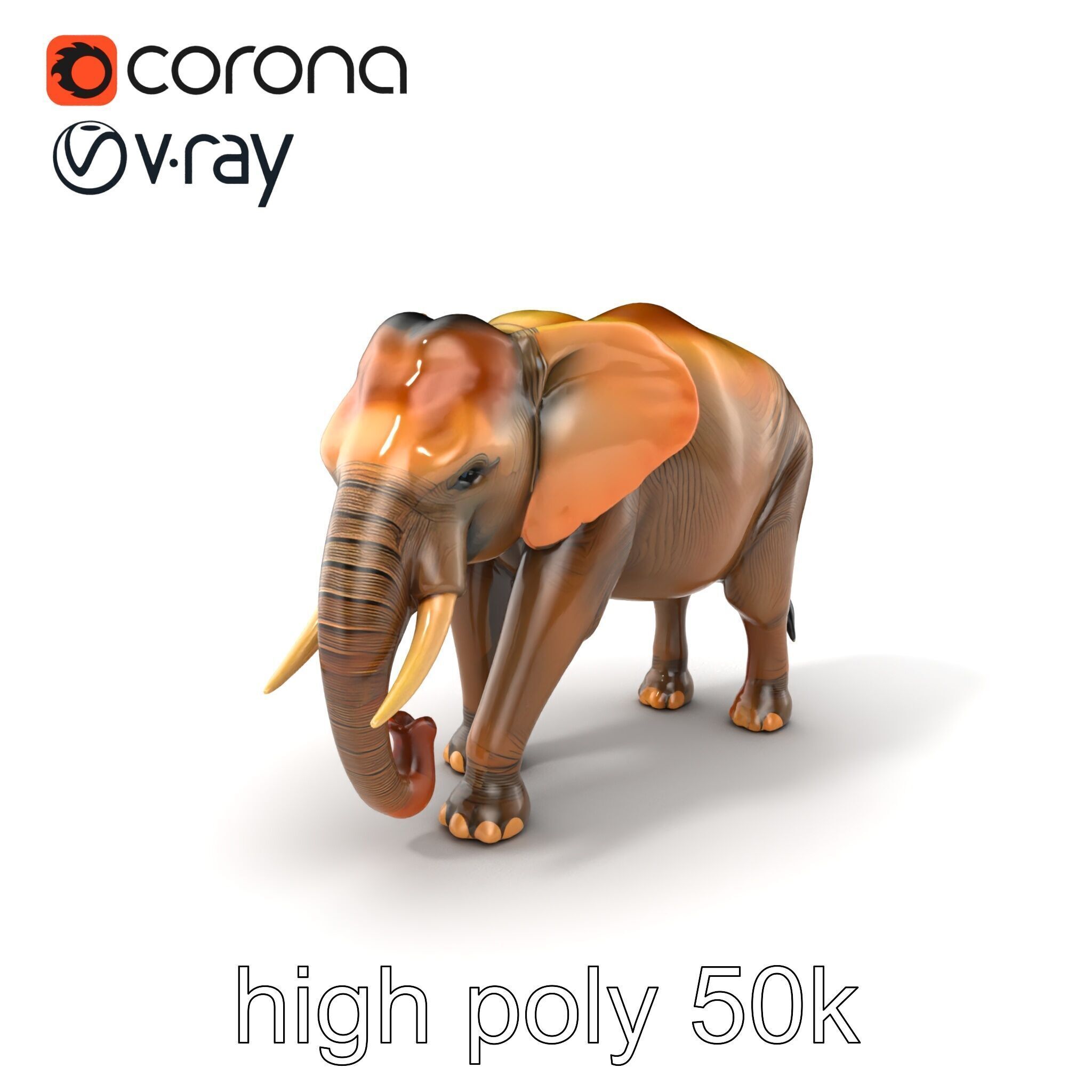Asian Elephant High Detail Model Pack Low-poly 3D model_2