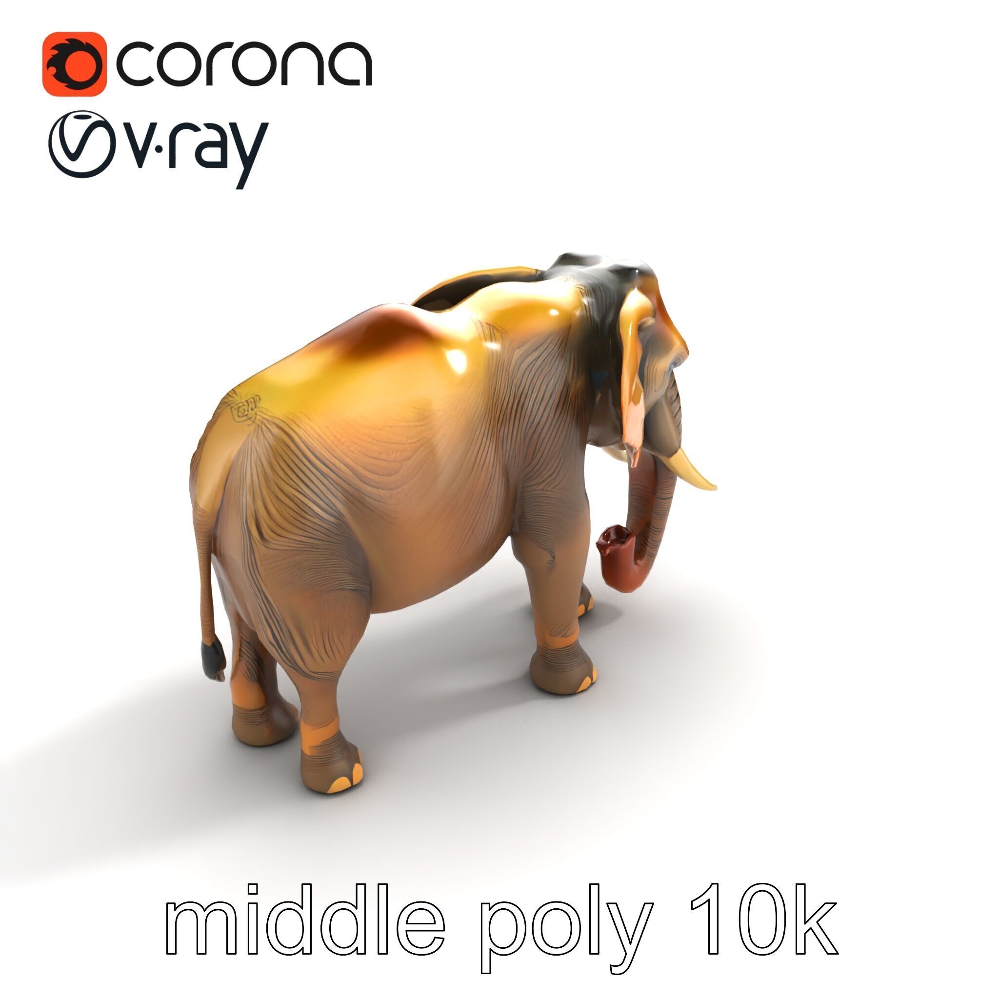 Asian Elephant High Detail Model Pack Low-poly 3D model_8