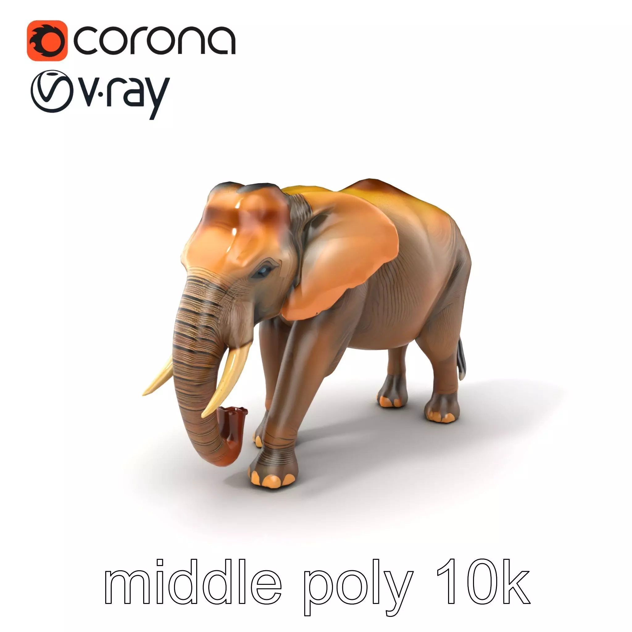 Asian Elephant High Detail Model Pack Low-poly 3D model_0