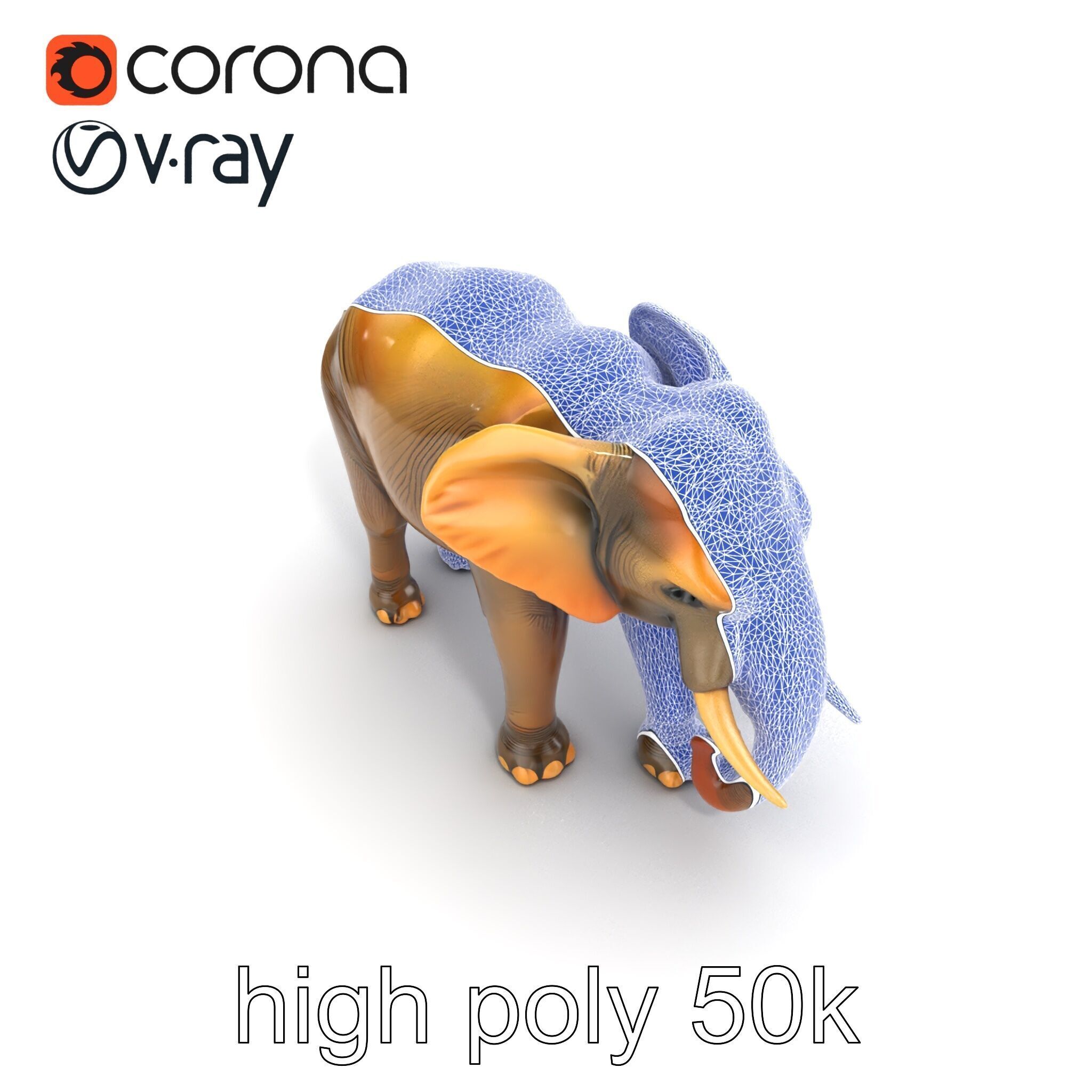 Asian Elephant High Detail Model Pack Low-poly 3D model_28