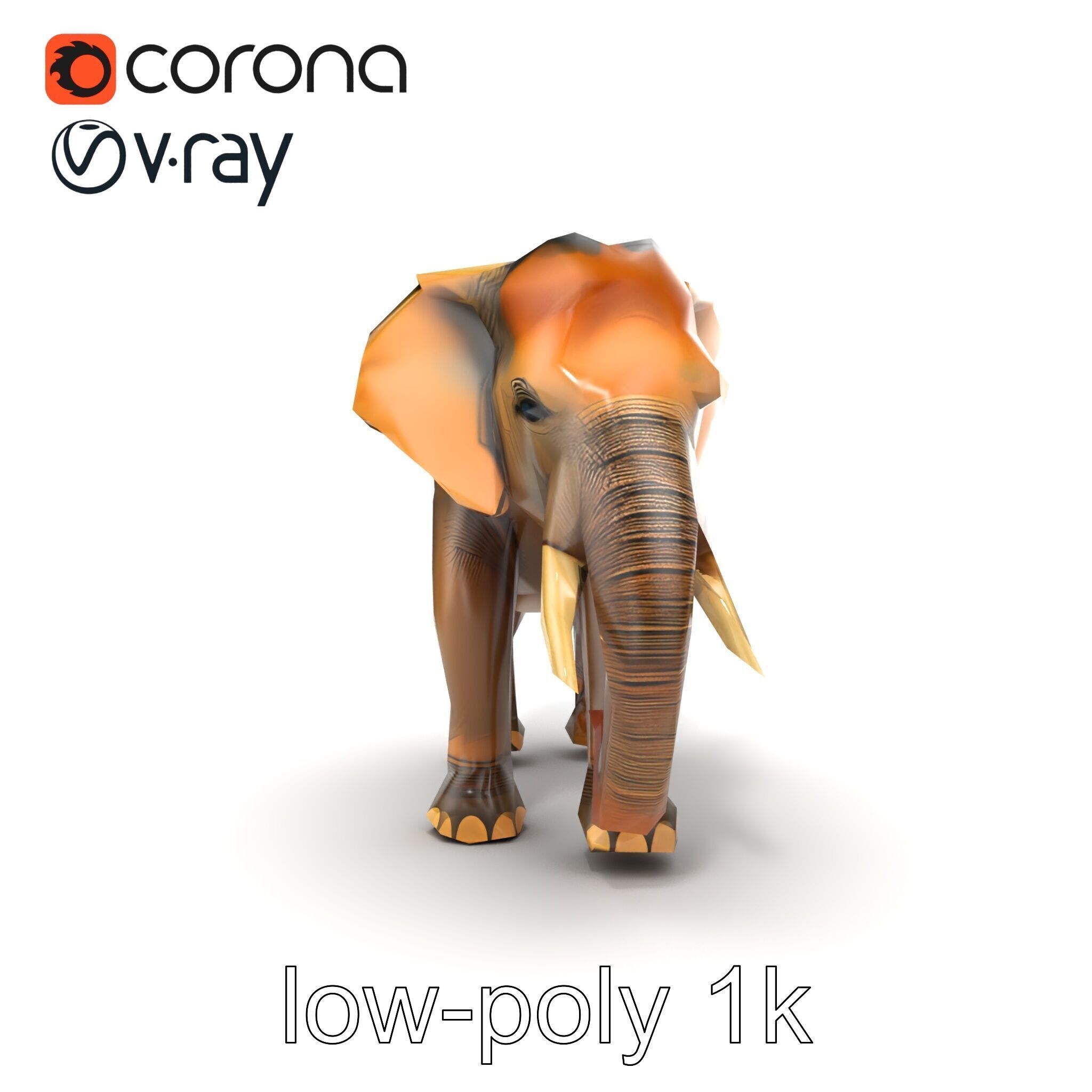 Asian Elephant High Detail Model Pack Low-poly 3D model_12