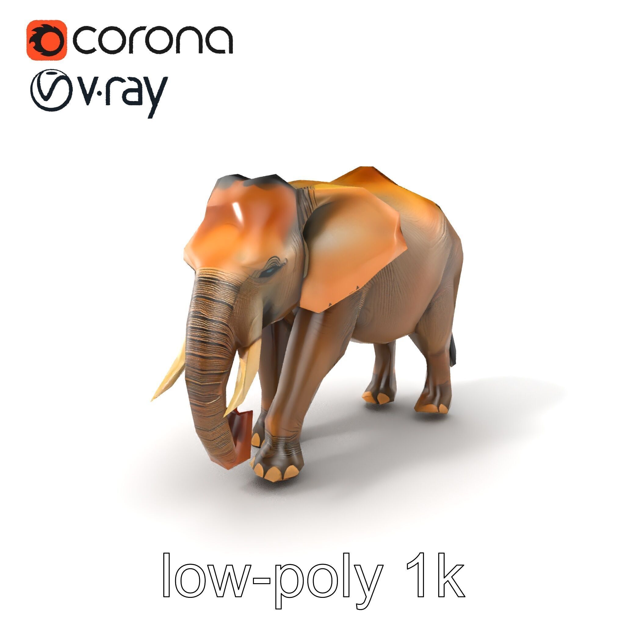 Asian Elephant High Detail Model Pack Low-poly 3D model_5
