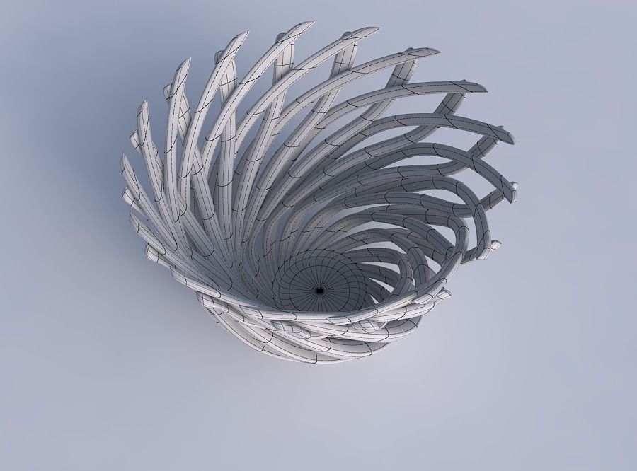 Bowl with twisted muscle structure wide middle 3D print model_6