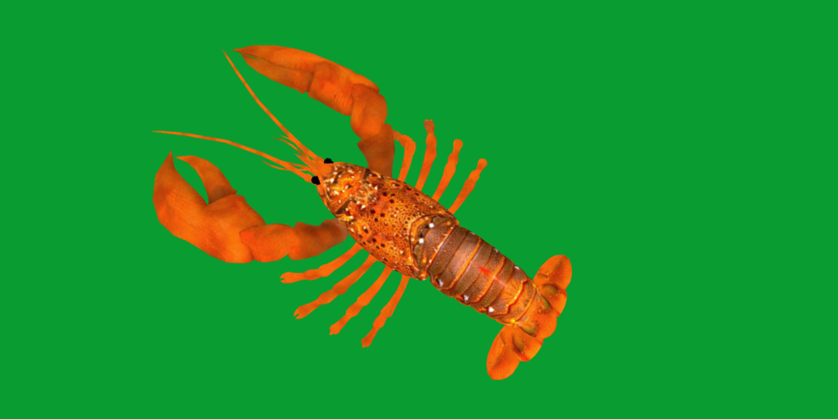 American Lobster Low-poly 3D model_29