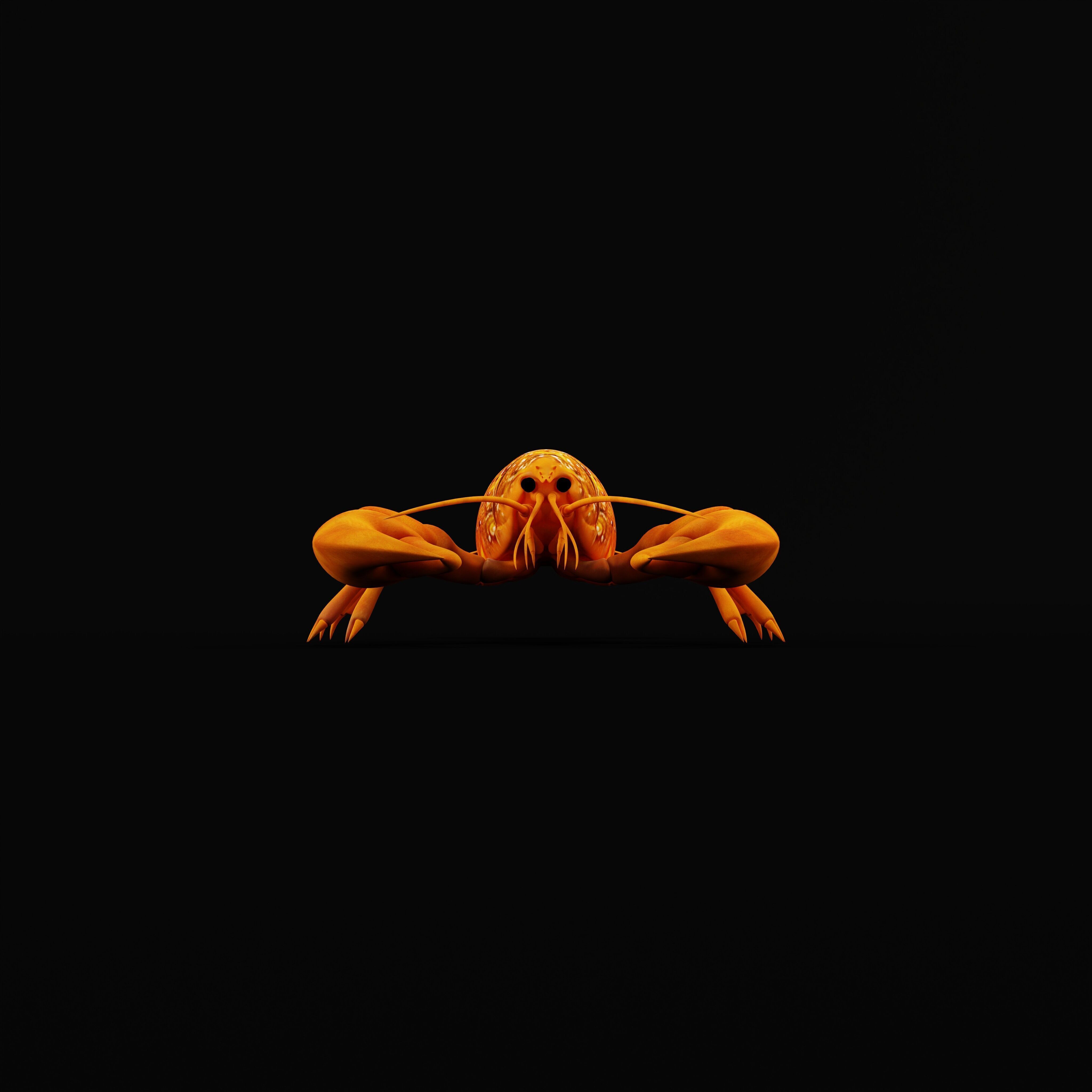 American Lobster Low-poly 3D model_37