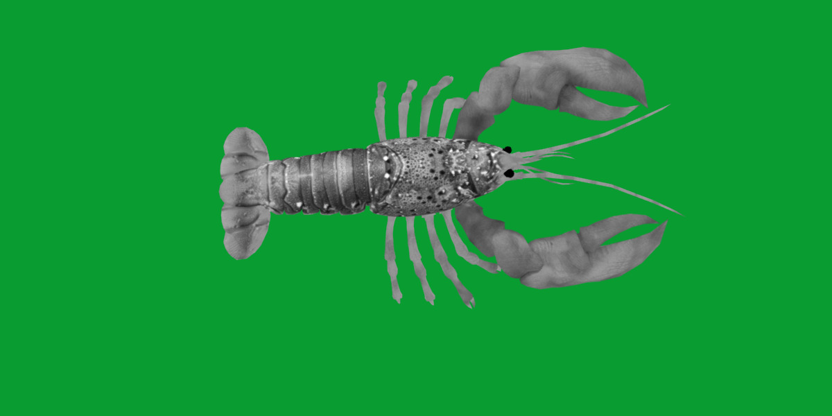 American Lobster Low-poly 3D model_8