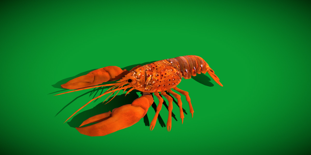 American Lobster Low-poly 3D model_26