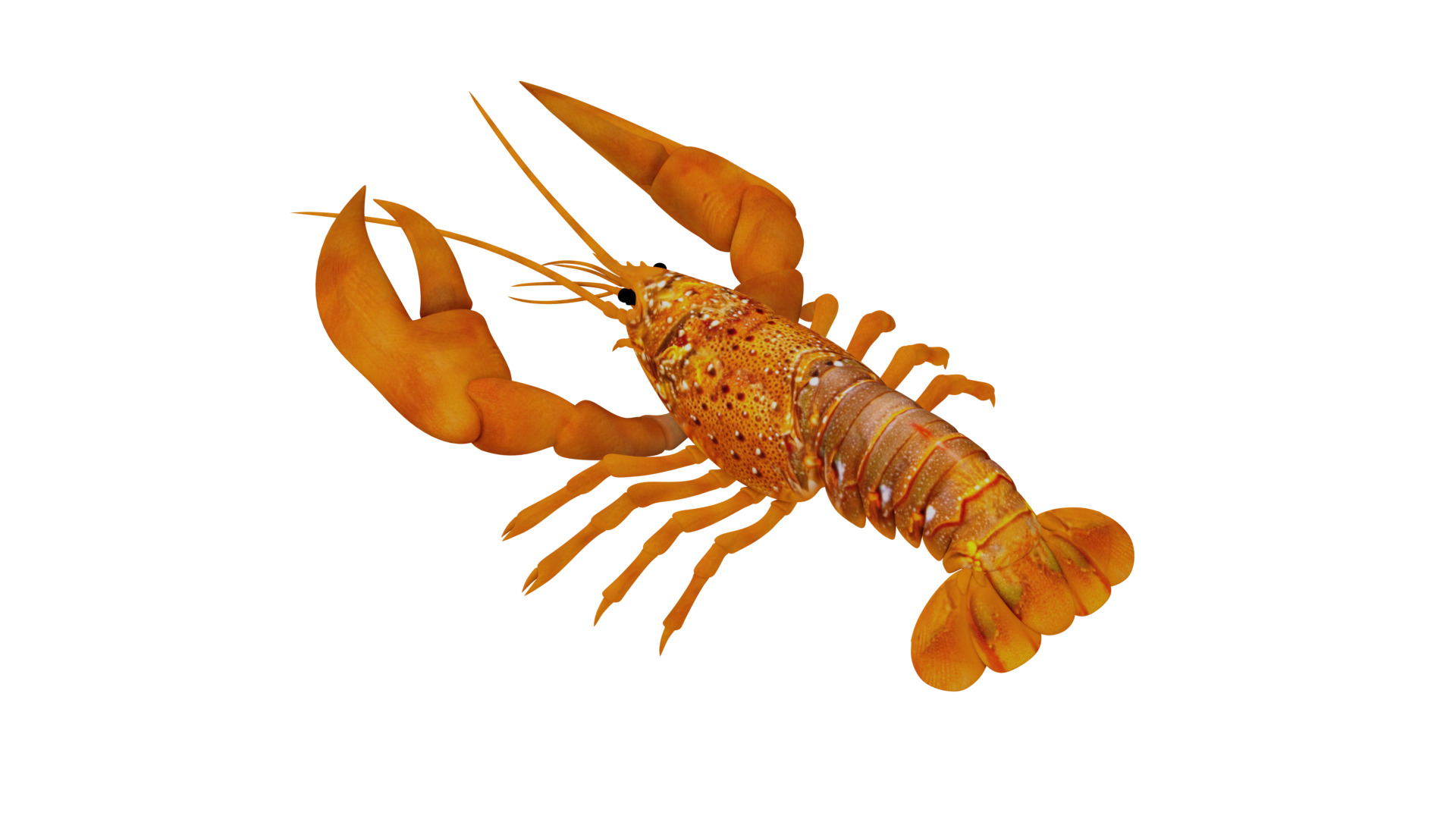 American Lobster Low-poly 3D model_4