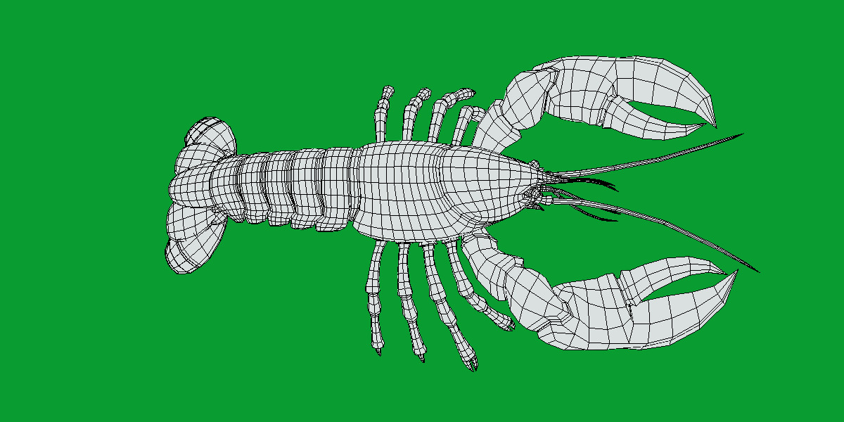 American Lobster Low-poly 3D model_14