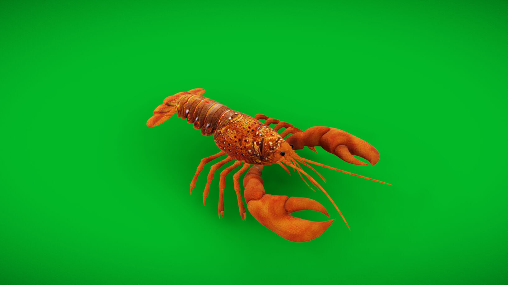 American Lobster Low-poly 3D model_34