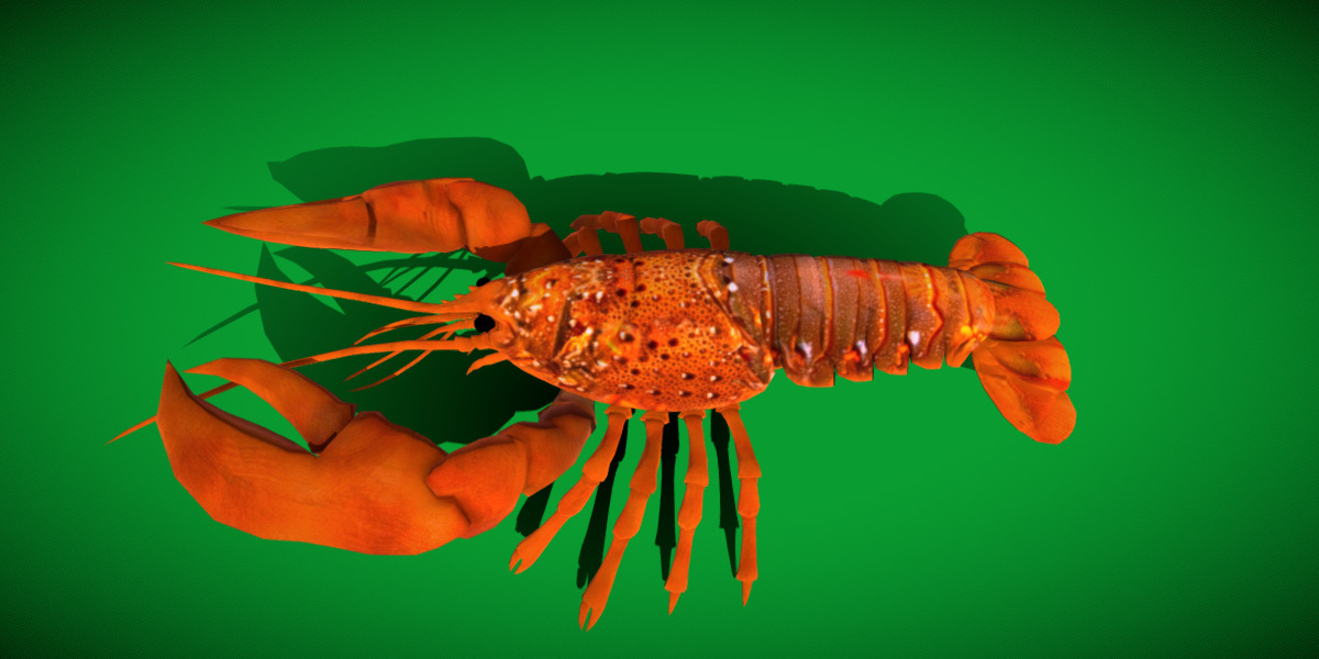 American Lobster Low-poly 3D model_25
