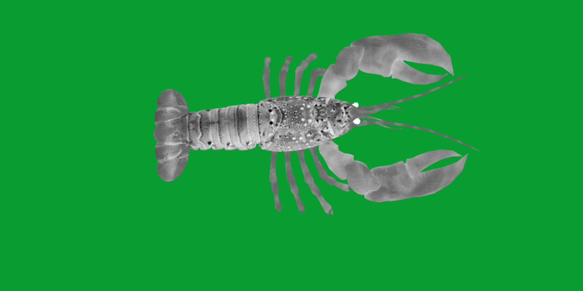 American Lobster Low-poly 3D model_7