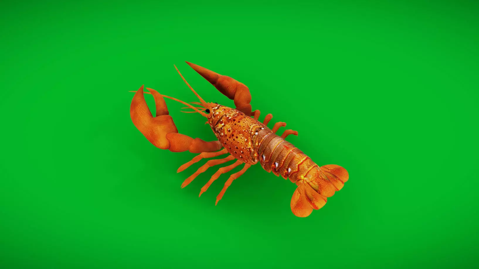 American Lobster Low-poly 3D model_0