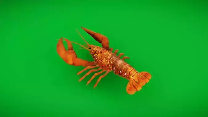 American Lobster Low-poly 3D model American Lobster Low-poly 3D model