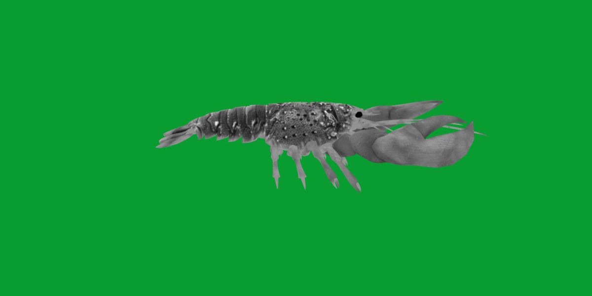 American Lobster Low-poly 3D model_9