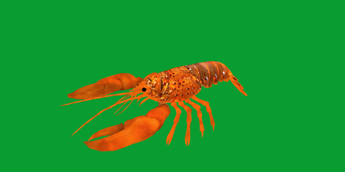 American Lobster Low-poly 3D model_28