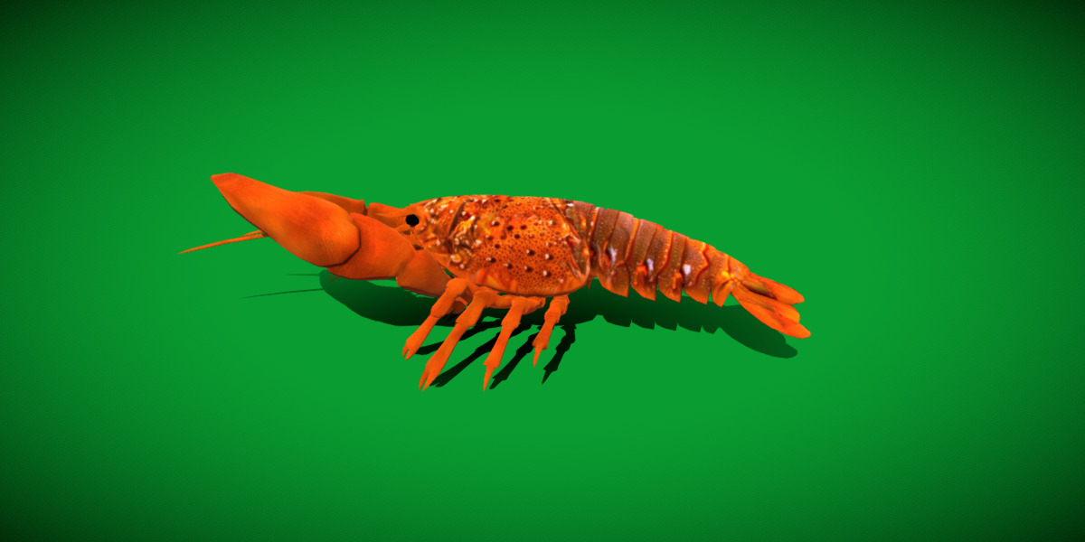 American Lobster Low-poly 3D model_16