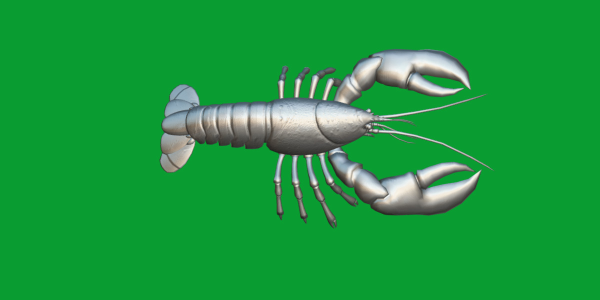 American Lobster Low-poly 3D model_13