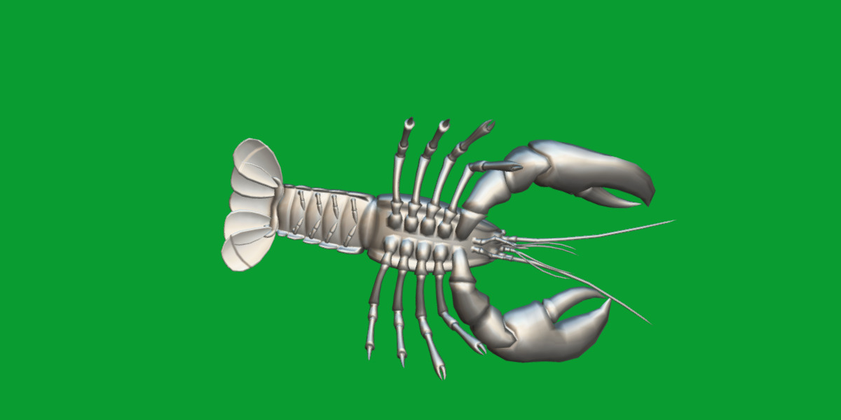 American Lobster Low-poly 3D model_11