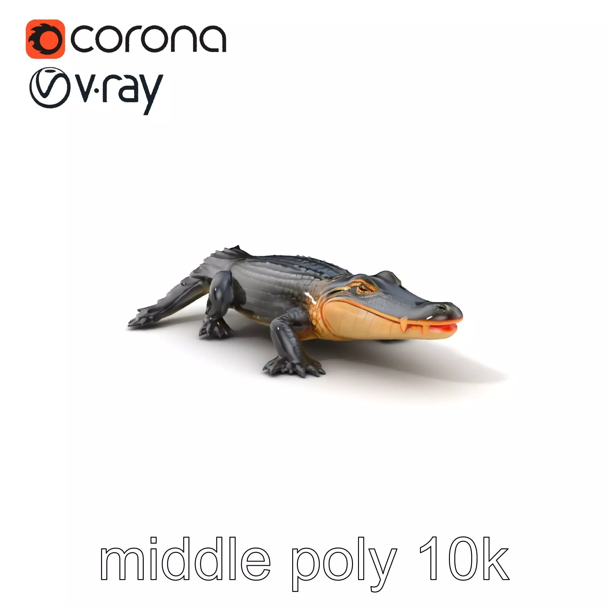 American Alligator D Model Pack with Detailed Textures Low-poly 3D model_0